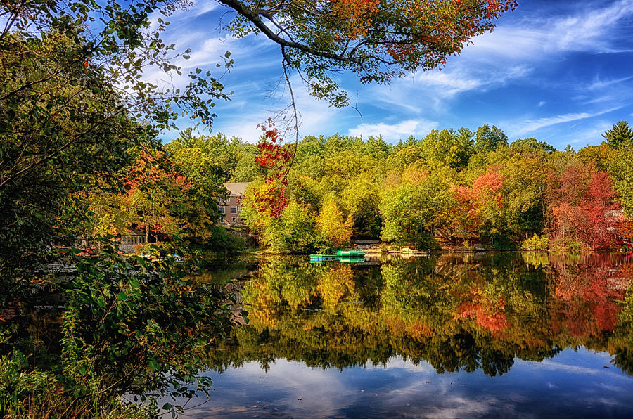 Fall Foliage VI Photograph by Tricia Marchlik | Fine Art America