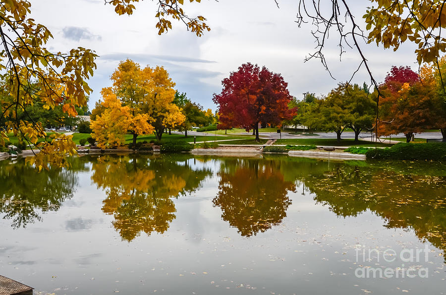 Fall Fort Collins Photograph by Baywest Imaging