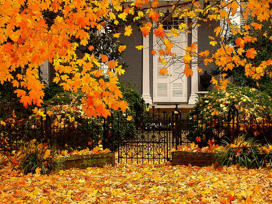 Fall Gate Photograph by Rodney Lee Williams