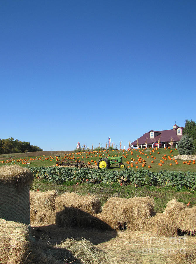 Fall Photograph - Fall Harvest at the Farm by Minding My  Visions by Adri and Ray