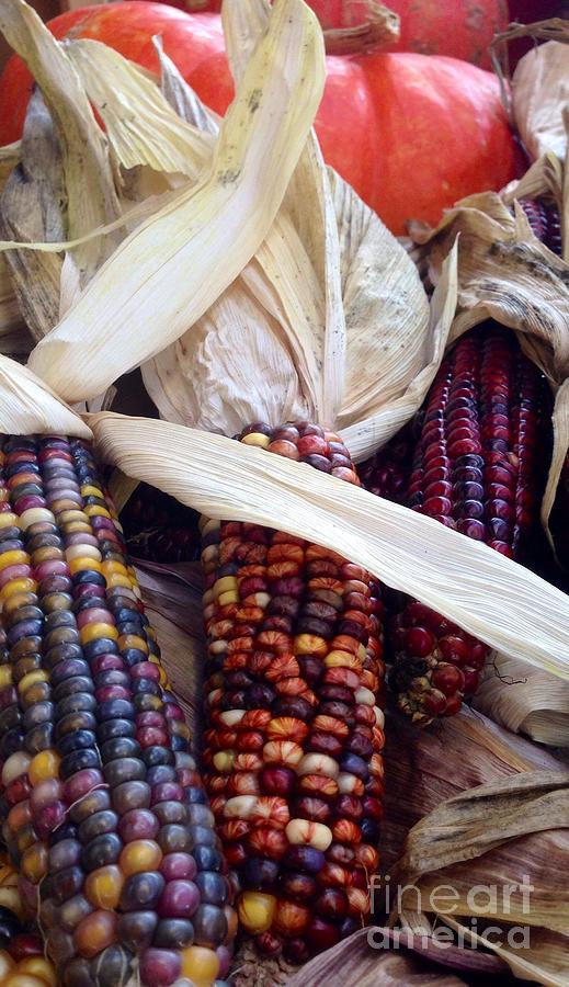 Fall Harvest Corn Photograph by Susan Garren