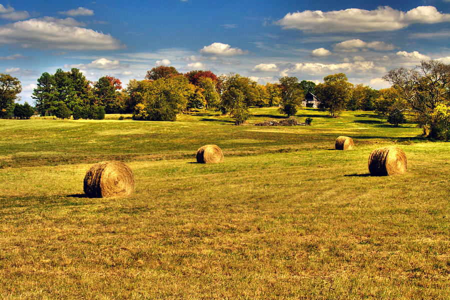 Fall Harvest Photograph by Roger Passman
