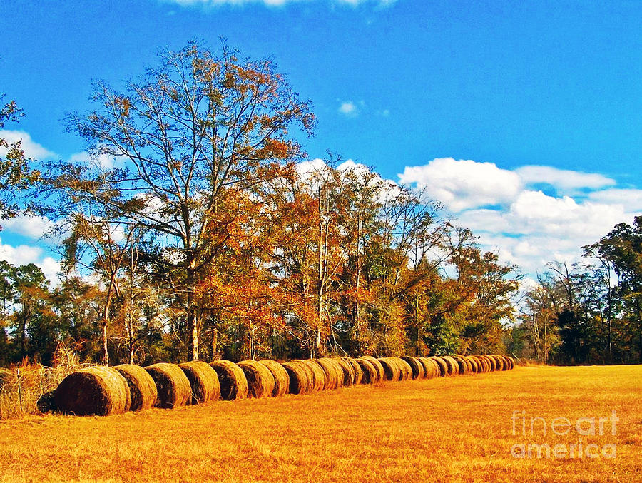 Fall Hayfield Photograph by Southern Photo