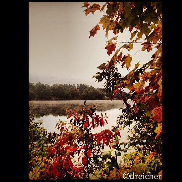Mountain Photograph - #fall #hellofall #leaves #colorchange by Denise Reicher
