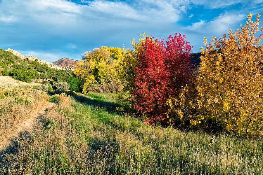 Fall Hike in Dinosaur Photograph by Kathleen Bishop