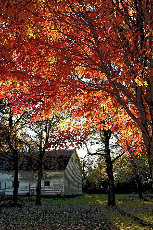 Fall Homestead Photograph by Jodi Pflepsen | Fine Art America