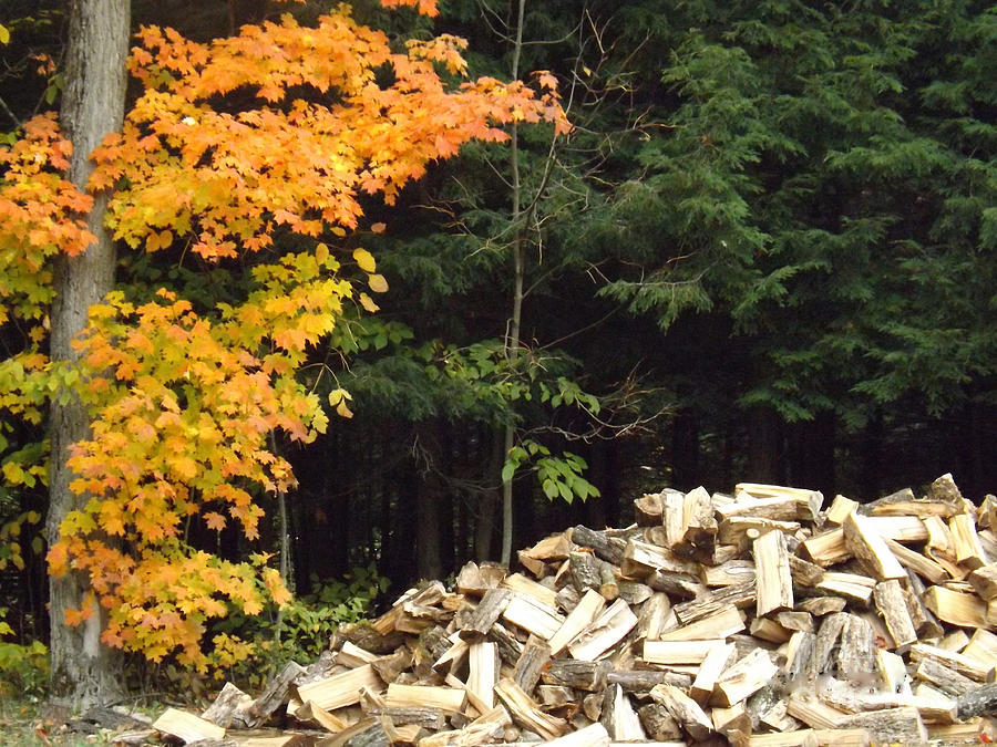Fall hovers over winter wood pile Photograph by Brenda Brown