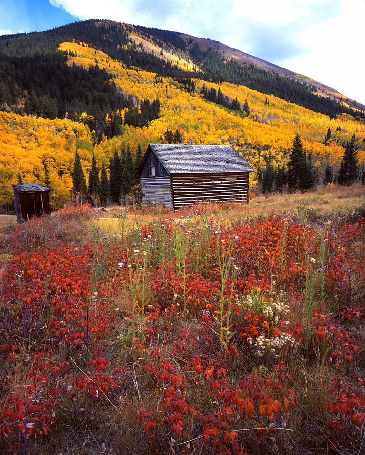 Fall In Ashcroft Photograph