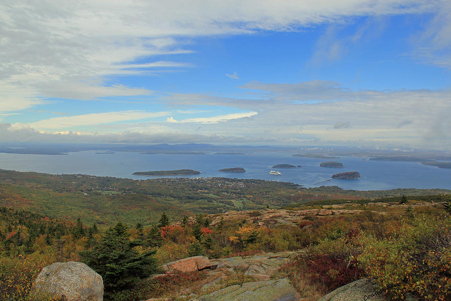 Fall In Bar Harbor Photograph by Becca Wilcox