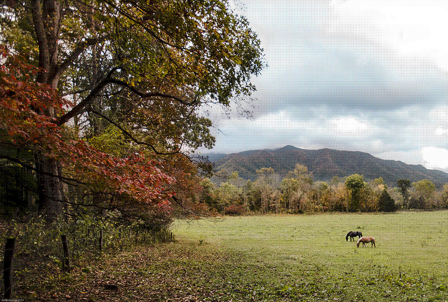 Fall in Cades Cove Photograph by Debbie Karnes