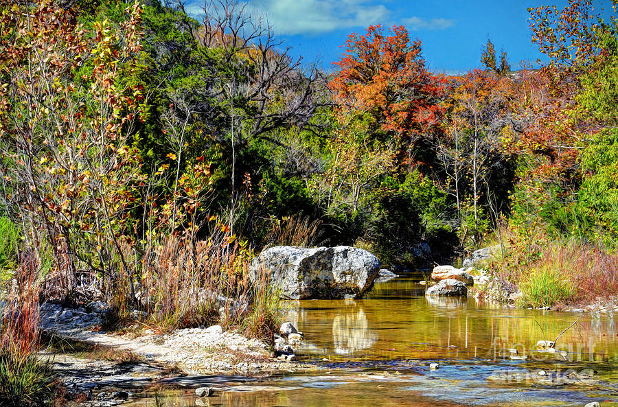 Fall in Central Texas Photograph by Savannah Gibbs