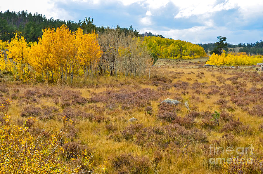 Fall in Colorado Photograph by Baywest Imaging