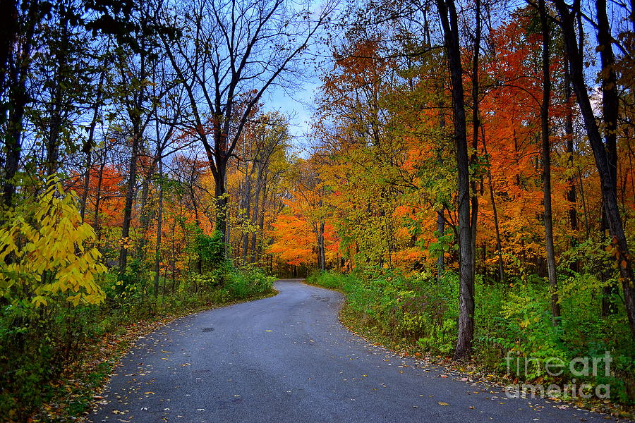 Fall in Cool Creek Park Indiana Photograph by Amy Lucid