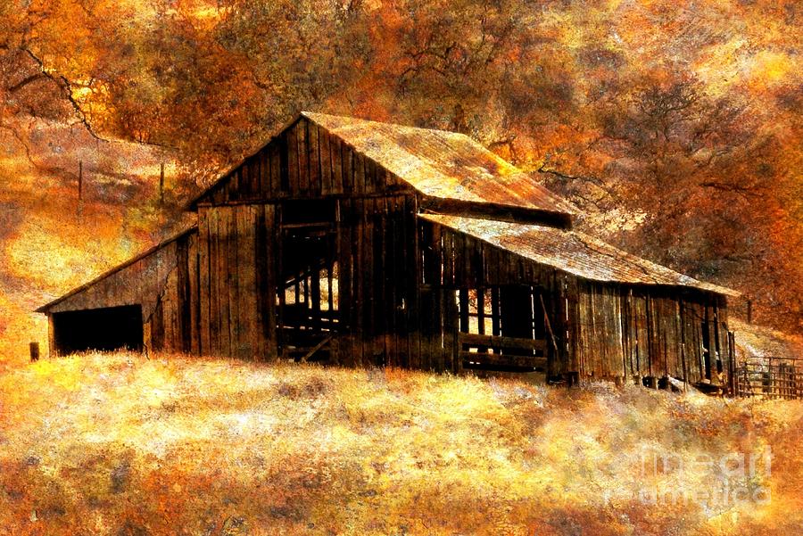 Fall in Country Digital Art by Irina Hays - Fine Art America