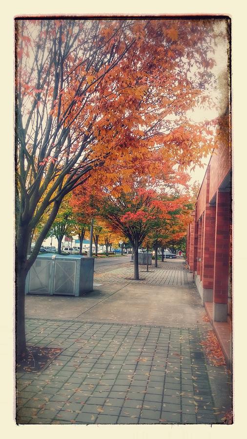 Fall in Downtown Vancouver Washington Photograph by Melissa Coffield ...