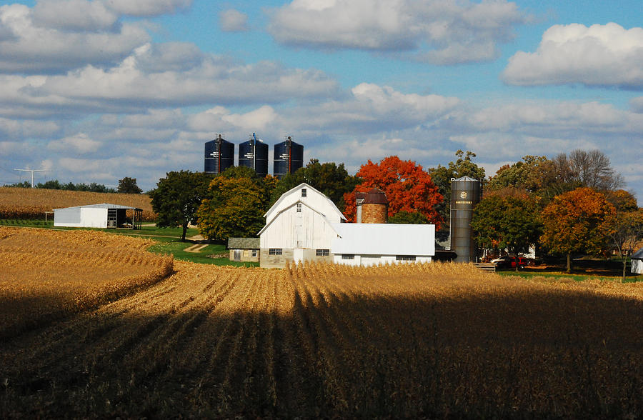 Fall In Farm Country Photograph by Janice Adomeit