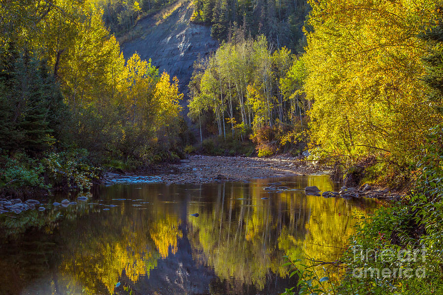 Autumn Reflections In Fort McMurray Photograph by Alanna DPhoto