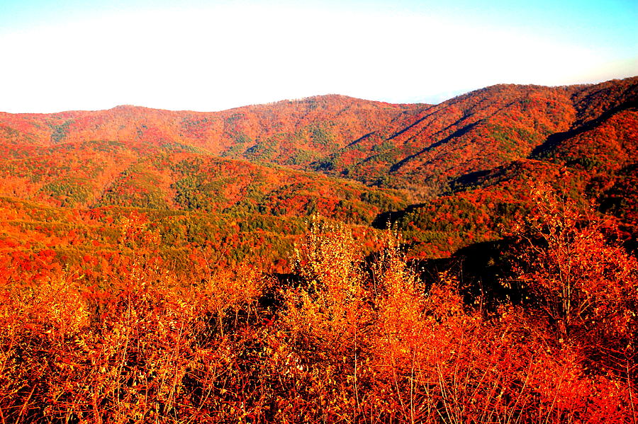 Fall In Georgia Photograph