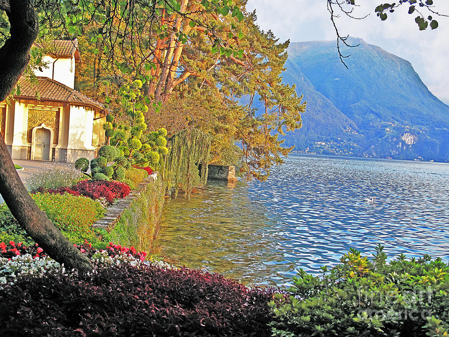 Fall in Lugano Photograph by Elvis Vaughn