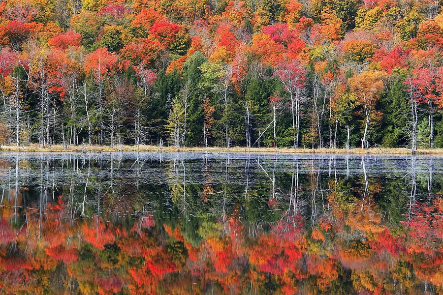 Fall in Malboro Vermont Photograph by Andrea Galiffi