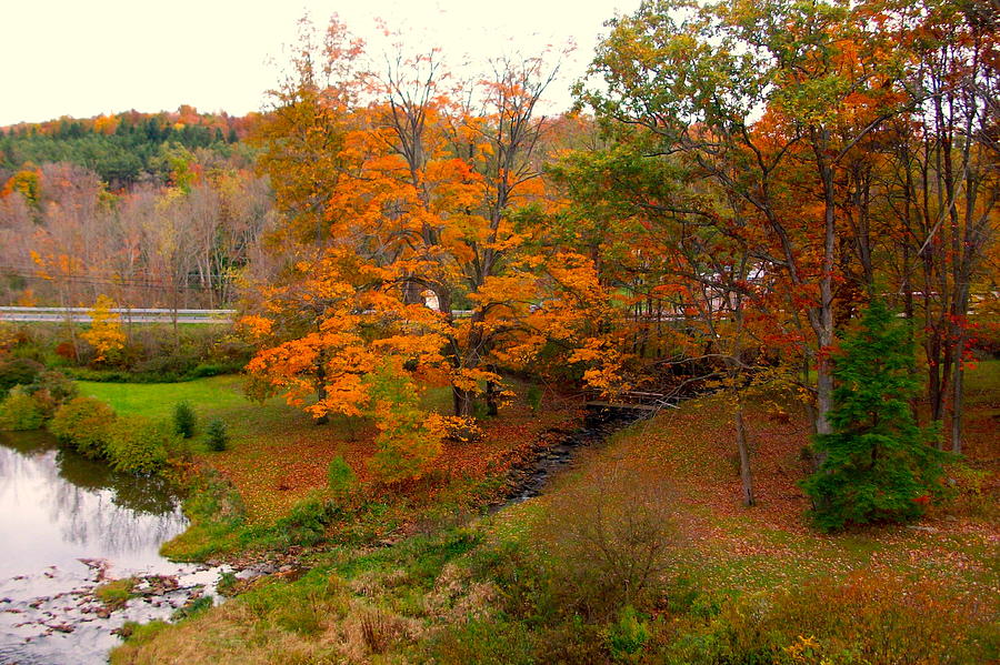 Fall In Maryland Photograph by Bess Yearsley