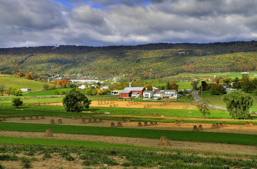 Fall In Mifflin County Photograph by Dan Myers