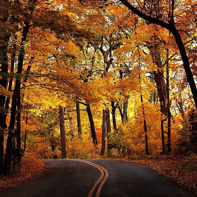 Fall Photograph - Fall in Minnesota by Hermes Fine Art