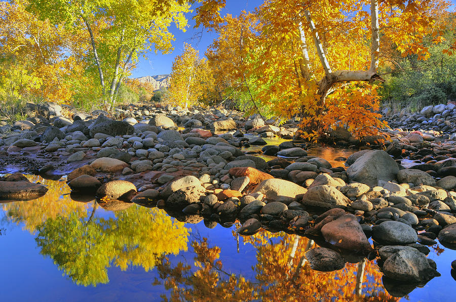 Fall In Oak Creek  Photograph by Dan Myers