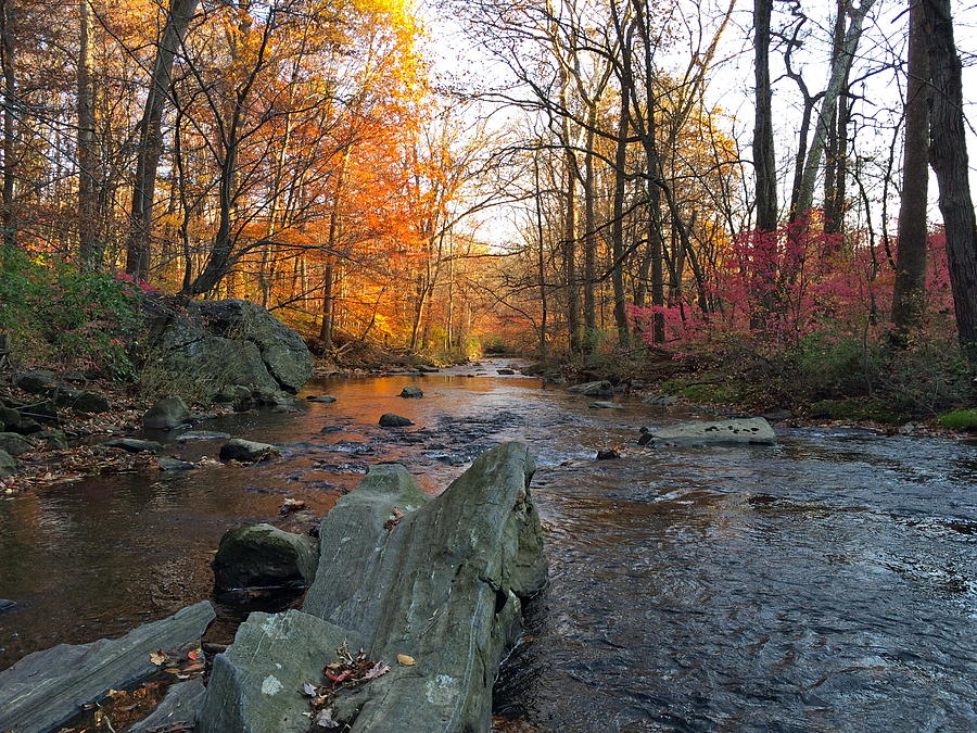 Fall in Ridley Creek State Park Photograph by Ben McKenna | Fine Art ...