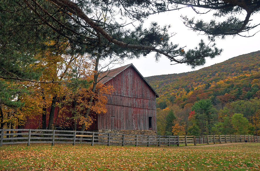 Fall In Schuylkill County Photograph by Dan Myers