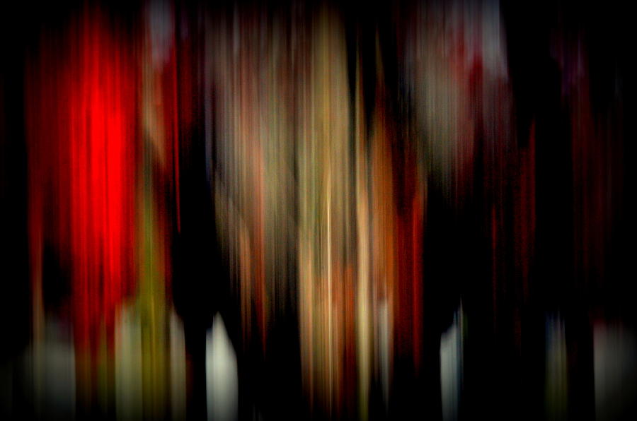 Fall In The Abstract Photograph by Tricia Marchlik