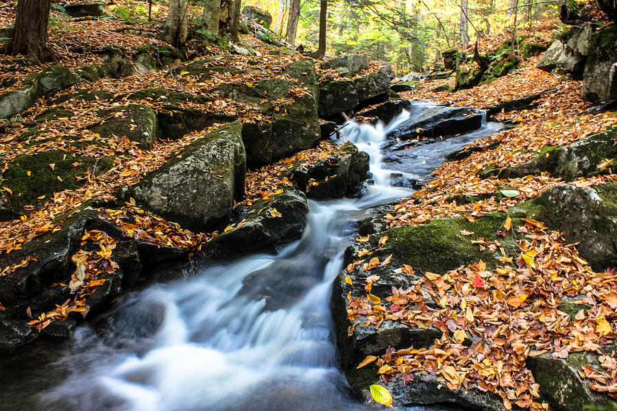 Fall in the Adirondacks Photograph by Jessica Tabora - Fine Art America