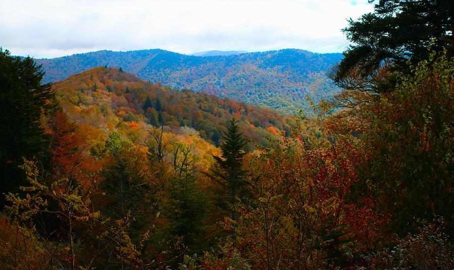 Fall in the Blue Ridge Mountains Photograph by Carol Montoya