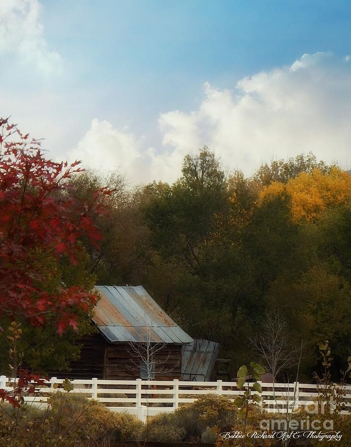 Fall in the Country Photograph by Bobbee Rickard - Fine Art America