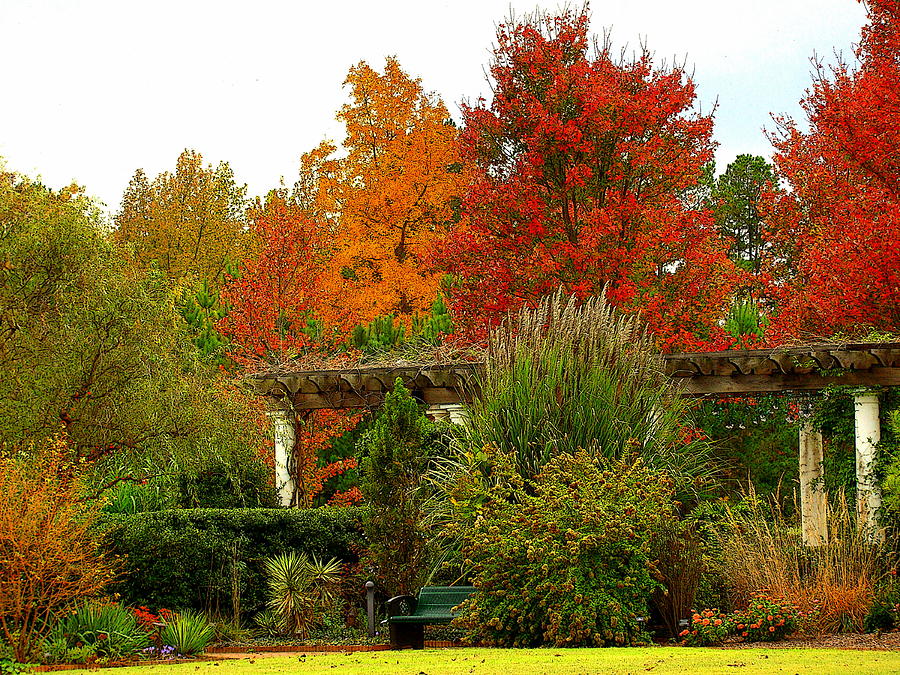 Fall in the Garden Photograph by Rodney Lee Williams
