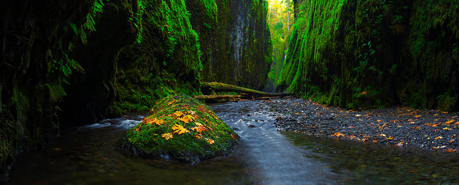 Fall in the Gorge Photograph by Dustin LeFevre