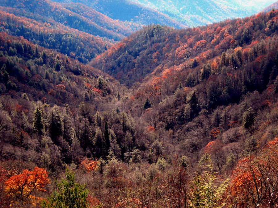 Fall In The Great Smokies Photograph by Skip Willits - Fine Art America