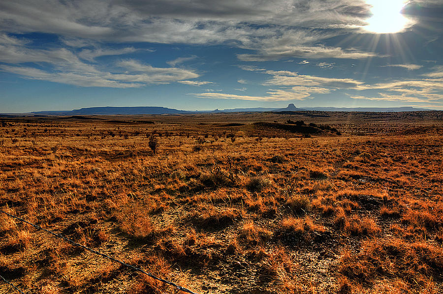 Fall In The High Desert by Chuck Summers Fall In The High Desert by Chuck Summers