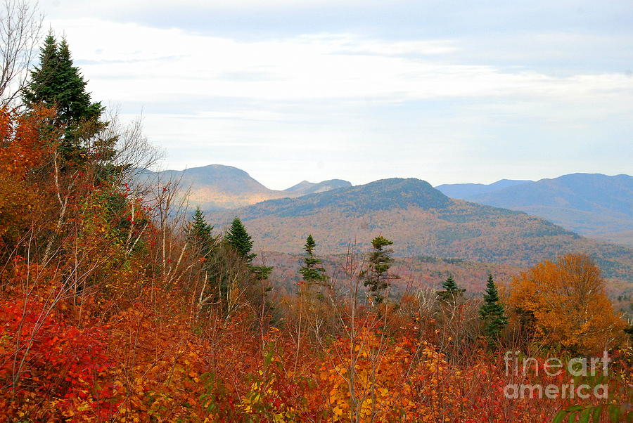 Fall In The North Country Photograph by Eunice Miller
