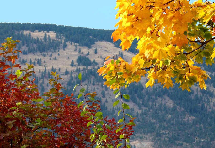 Fall In The Okanagan Valley Photograph by Will Borden