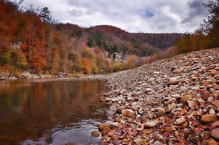 Fall in the Ozarks Photograph by Renee Hardison