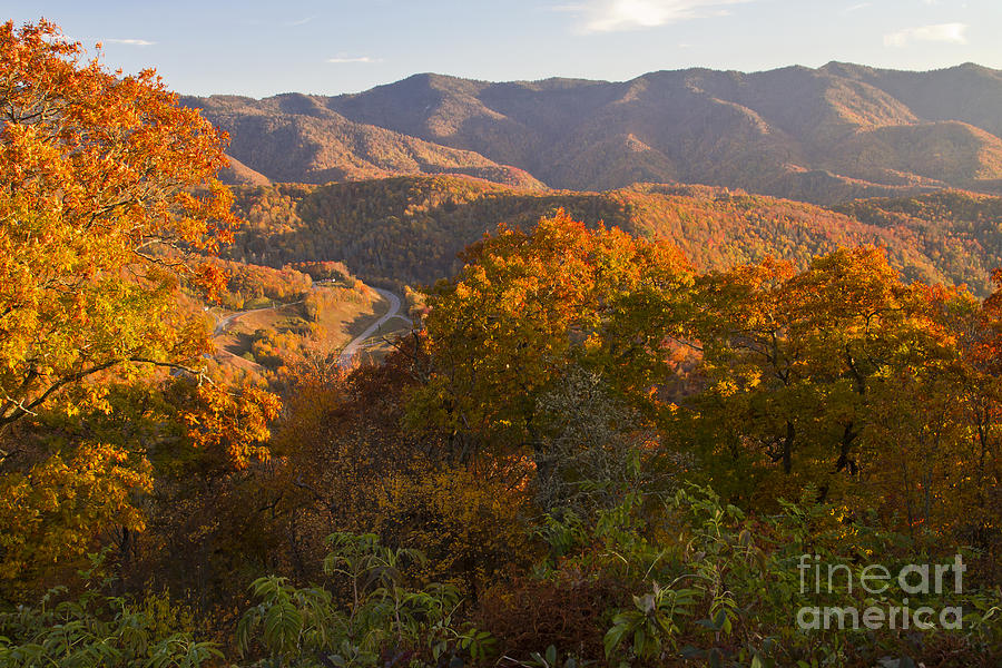 Fall in the Smoky Mountains Photograph by Dennis Hedberg