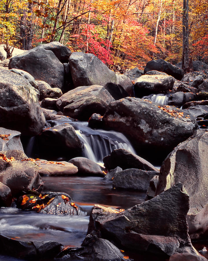 Fall in the Smoky Mountains Photograph by Harold Rau