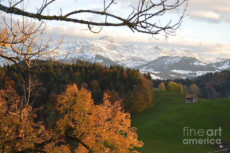 Nature Photograph - Fall in the Swiss Alps by Susanne Van Hulst