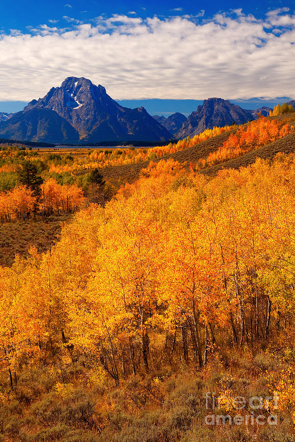 Fall in the Tetons Photograph by Aaron Whittemore