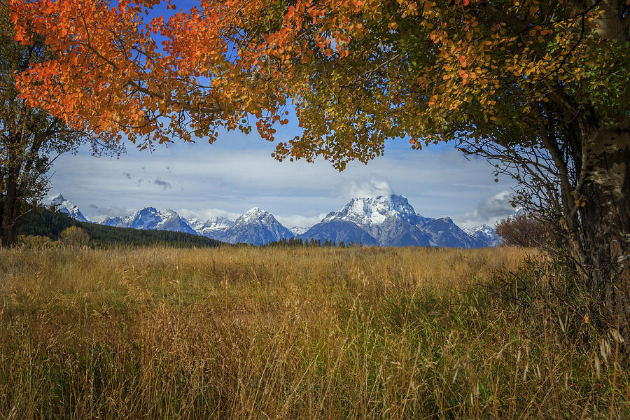 Fall in the Tetons Photograph by Jared Perry 