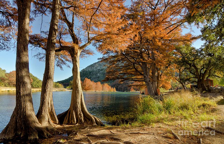 Fall in the Texas Hill Country Photograph by Cathy Alba