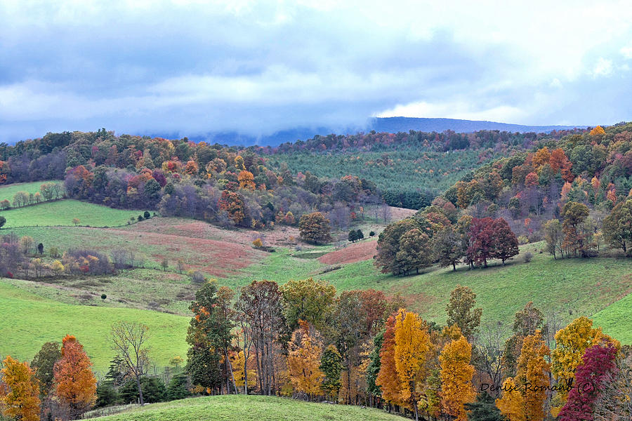 Fall In Virginia Photograph by Denise Romano