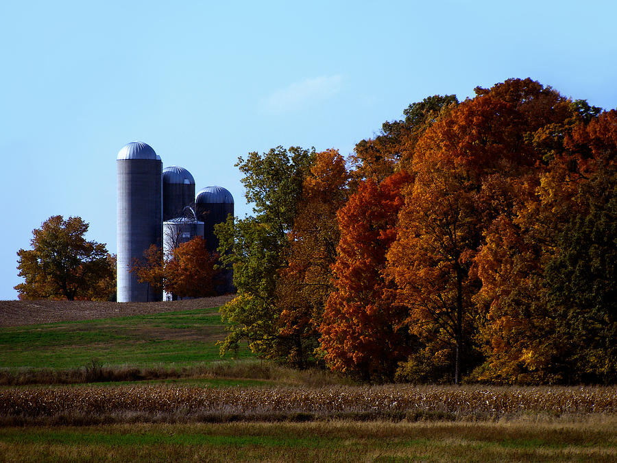 Fall Digital Art - Fall in Waupaca County Wisconsin by David Blank
