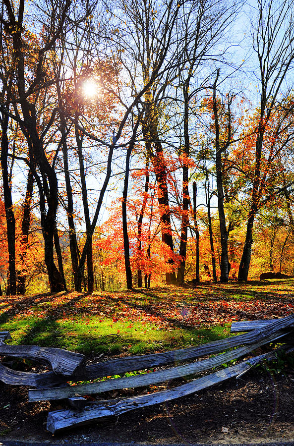 Fall in WNC 2 Photograph by Craig Burgwardt